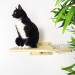 Cat lover gift feeder shelf