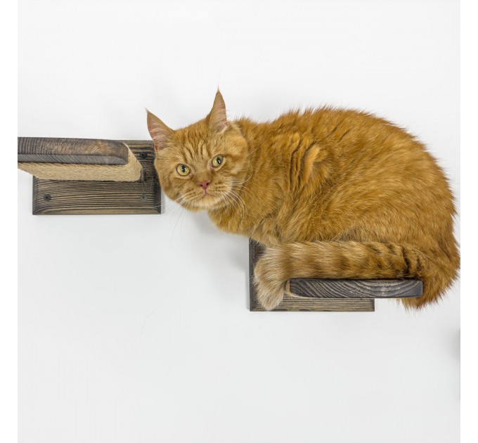 Luxury cat furniture, floating shelves and steps for elevated elegance