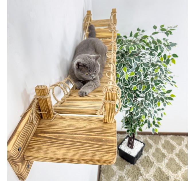 Kitten wall playground – comfortable bridge for active cats