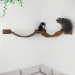 Floating cat bridge with shelves – perfect for big cats