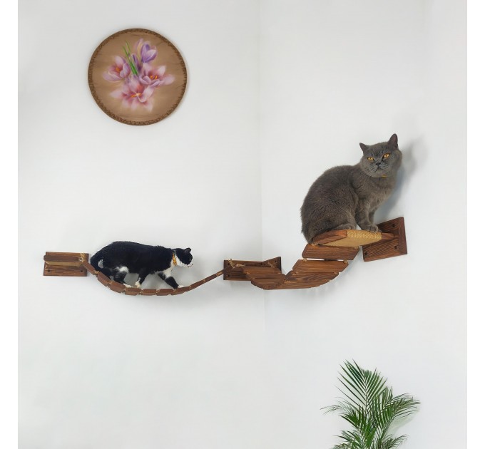 Modern cat bridge for wall – stylish climbing playground