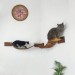 Modern cat bridge for wall – stylish climbing playground