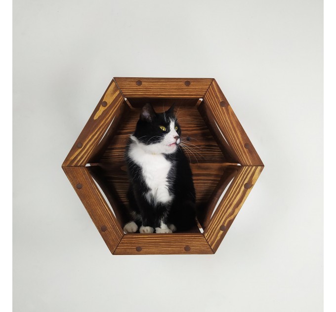 Cat hexagon perches cat hexagon bed, cat shelf cat wall hexagon shelf