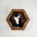 Cat hexagon perches cat hexagon bed, cat shelf cat wall hexagon shelf