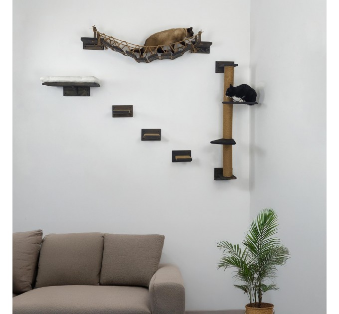 Cat wall furniture set with climbing wall and steps