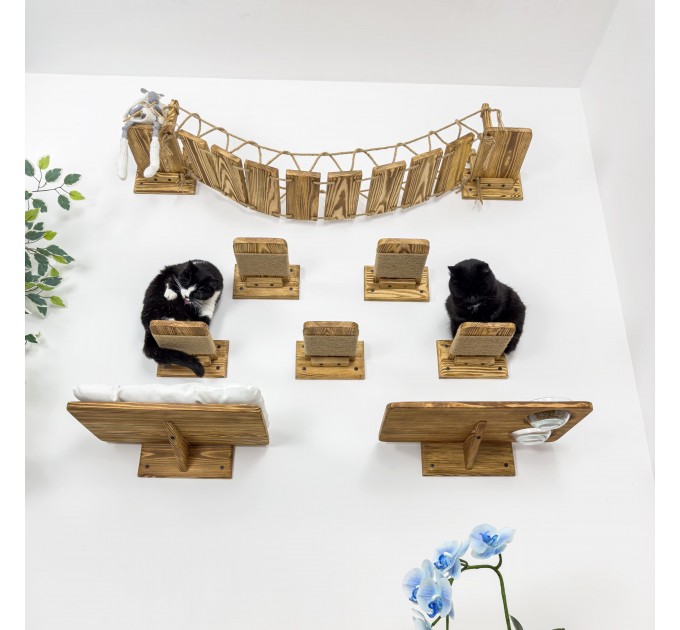 Modern cat wall furniture set with bridge