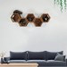 Cat hexagon wall shelf – perfect wooden climbing bed for cats