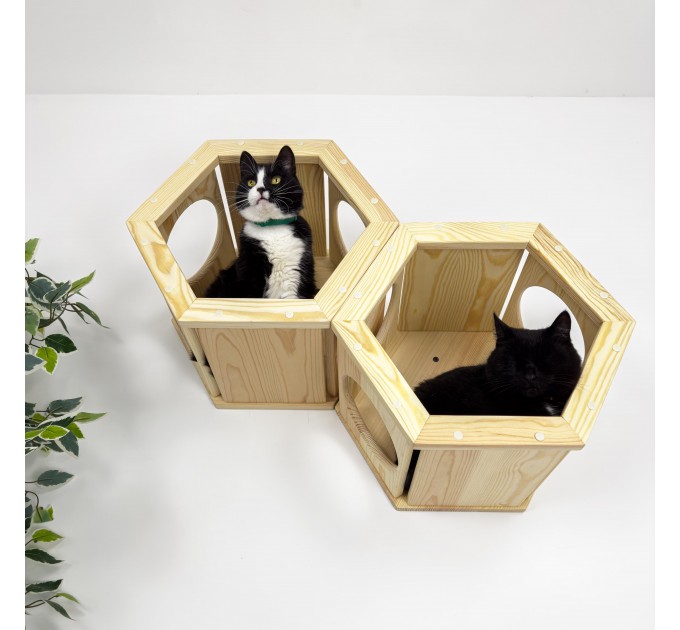 Modern wooden hexagon cat bed – perfect wall-mounted furniture