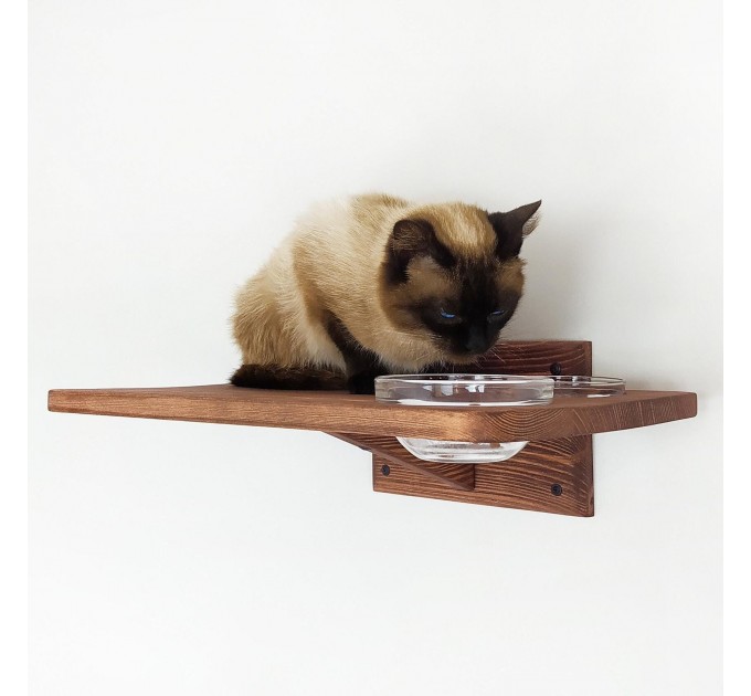 Kitten shelf with 2 bowls