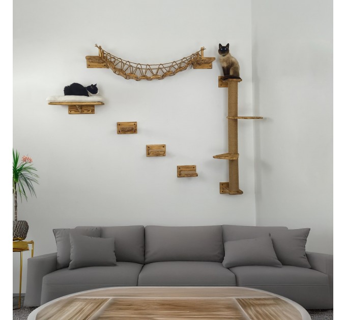 Comfortable wooden furniture set for cats
