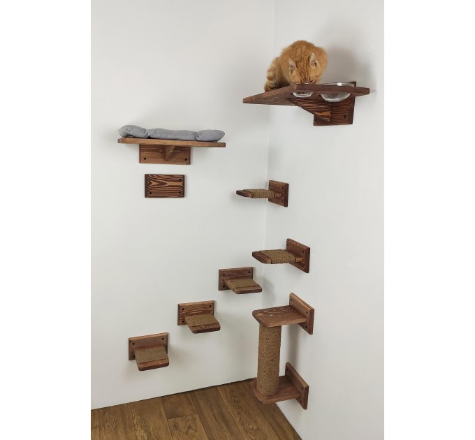 Cat wall furniture, elevated playground for active pets