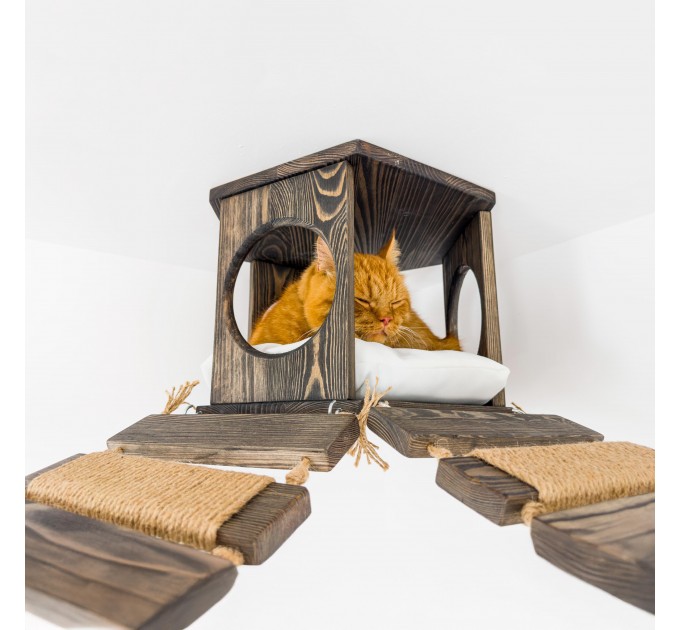 Ceiling climber with hexagon shelves and wooden ceiling bridge
