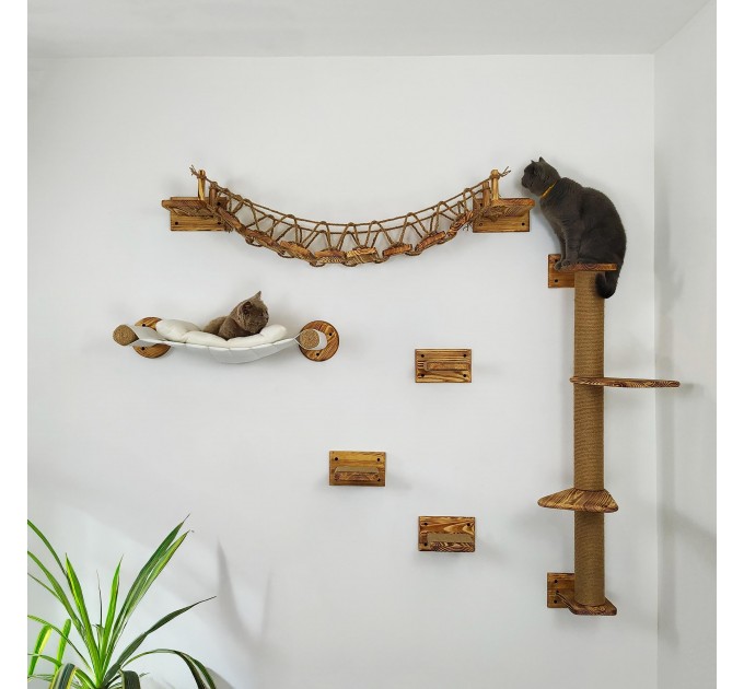 Comfortable modern furniture set for cats