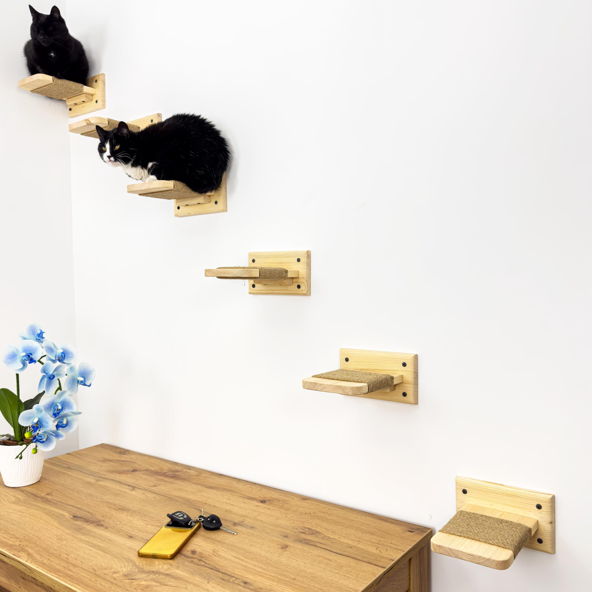 Wall-mounted cat stairs, set of 6 steps