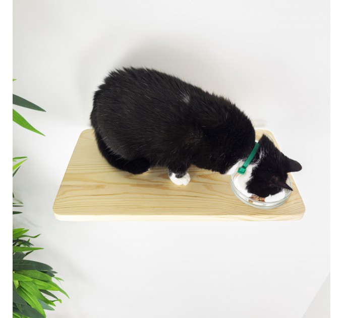 Cat lover gift feeder shelf