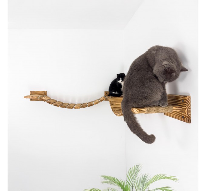Floating cat bridge with shelves – perfect for big cats