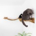 Floating cat bridge with shelves – perfect for big cats