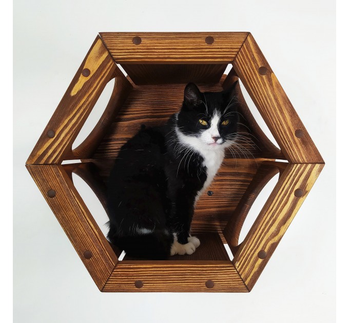 Cat wall hexagon shelf cat honeycomb shelves, cat hexagon perches