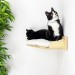 Wall-mounted corner bed for cat – modern wooden design