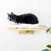 Cat shelves kitten wall mounted bed with pillow