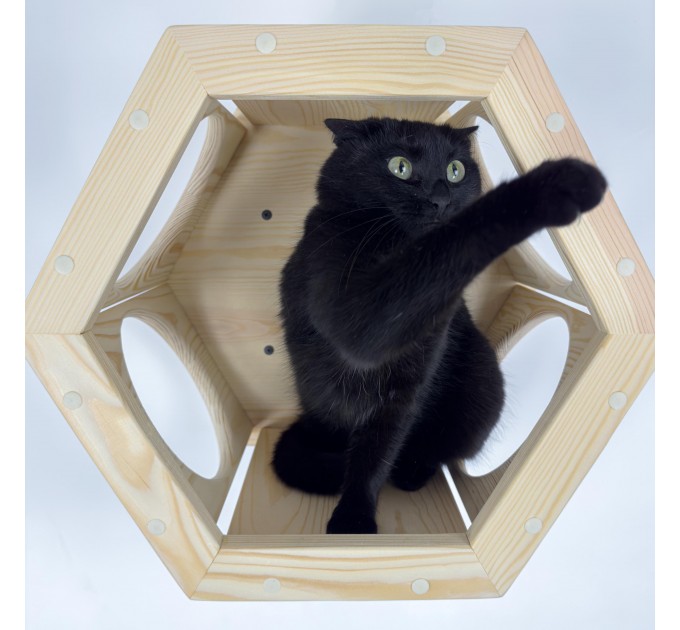 Stylish hexagon wall bed for cats – perfect for cat moms