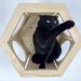 Stylish hexagon wall bed for cats – perfect for cat moms