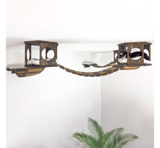 Wall-mounted bed and bridge with wooden kitten house