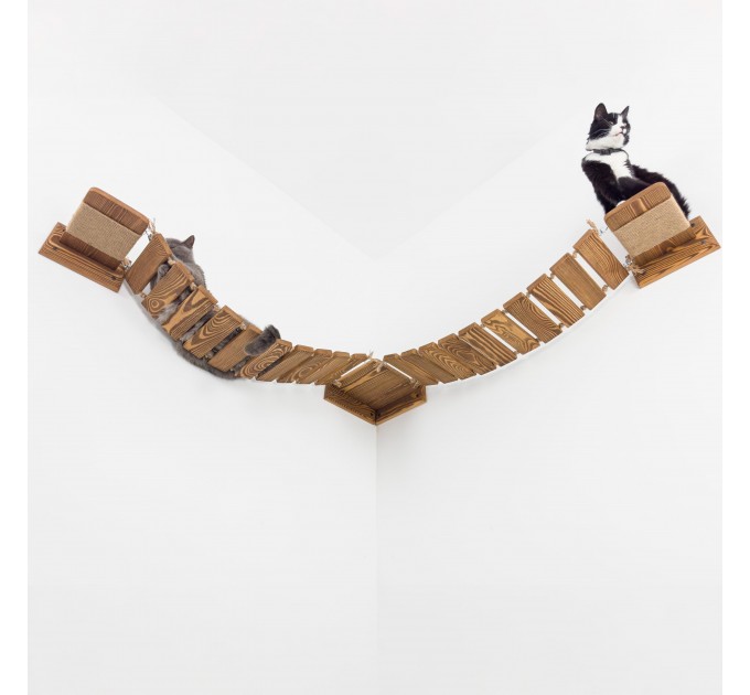 Modern cat bridge for wall – stylish climbing playground