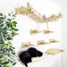 Cat gifts wall furniture set
