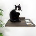 Wall mounted wooden cat rack furniture with 2 food and water bowls
