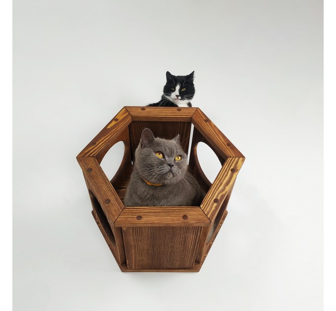 Cat wall hexagon shelf cat honeycomb shelves, cat hexagon perches