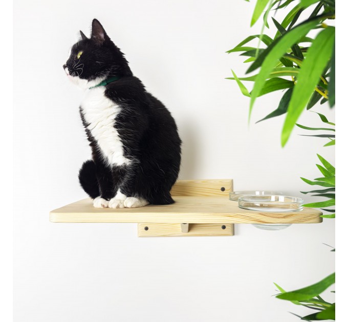 Functional cat wall set