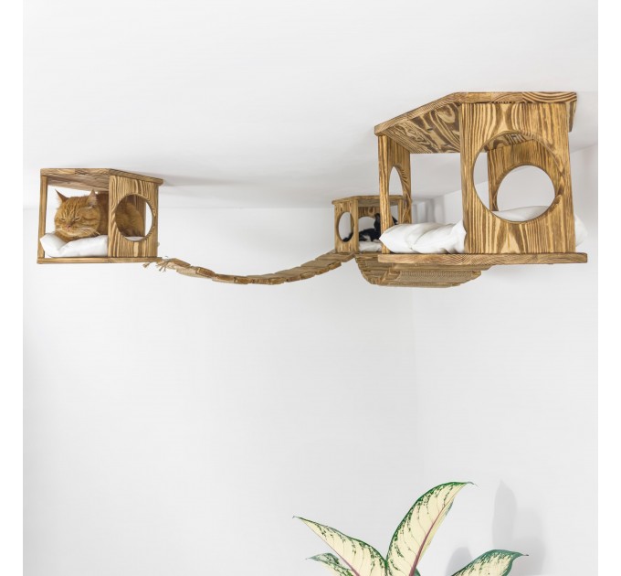Ceiling climber with hexagon shelves and wooden ceiling bridge