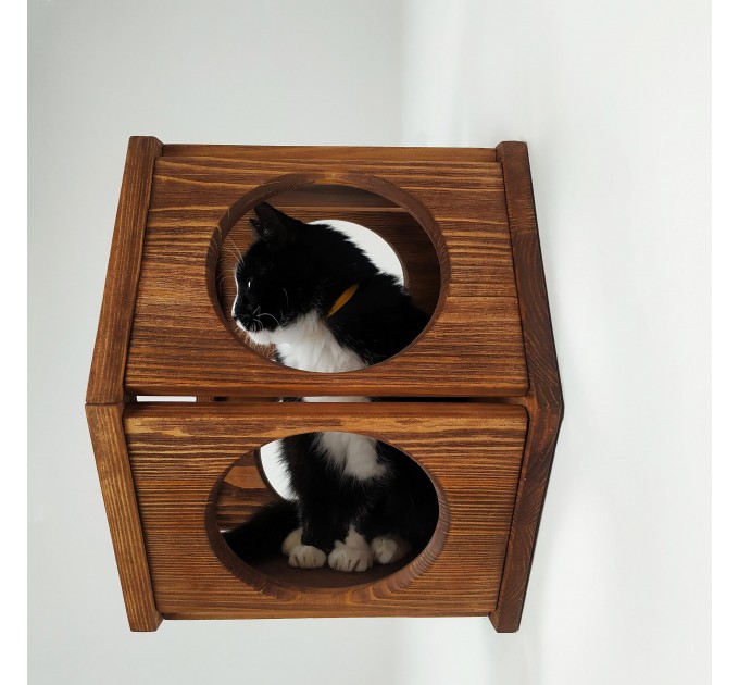 Cat wall hexagon shelf cat honeycomb shelves, cat hexagon perches