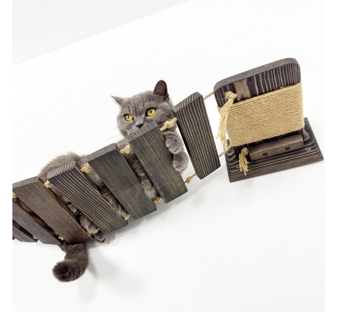 Comfortable floating cat bridge – fun wall playground