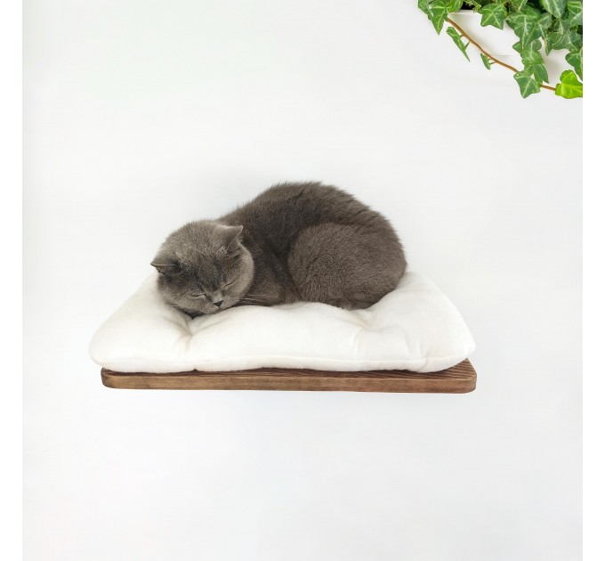 Modern furniture for cats