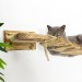 Comfortable floating cat bridge – fun wall playground