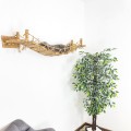 Comfortable cat bridge and wall shelves – custom climbing furniture