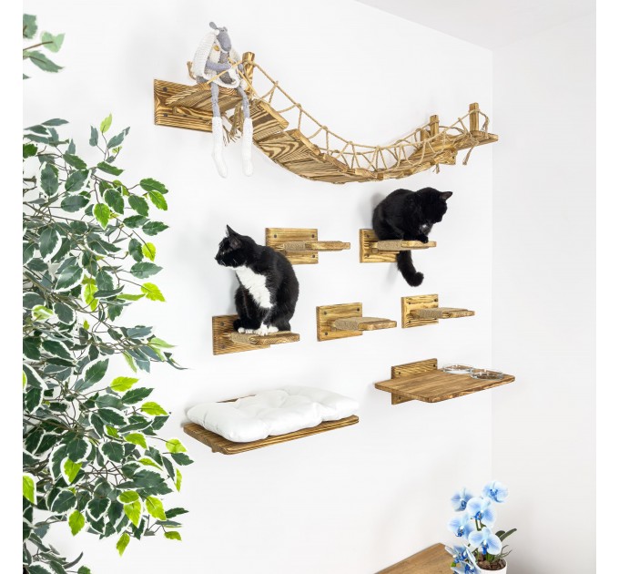 Modern cat wall furniture set with bridge
