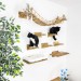 Modern cat wall furniture set with bridge