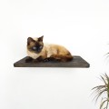 Cat climbing wall shelf