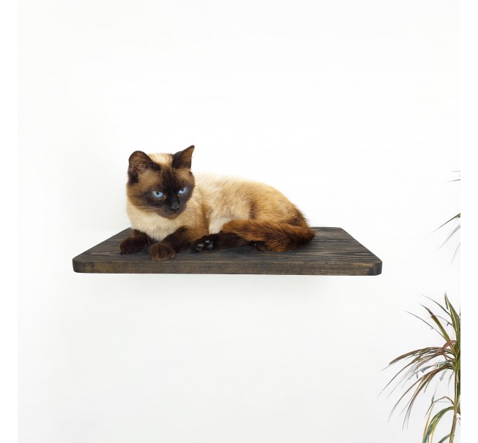 Cat climbing wall shelf