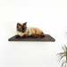 Cat climbing wall shelf
