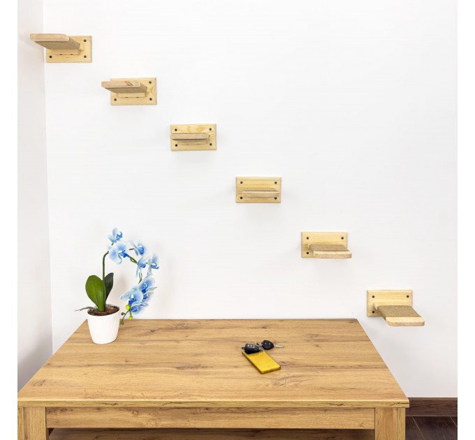 Kitten climbing wall set with cat steps