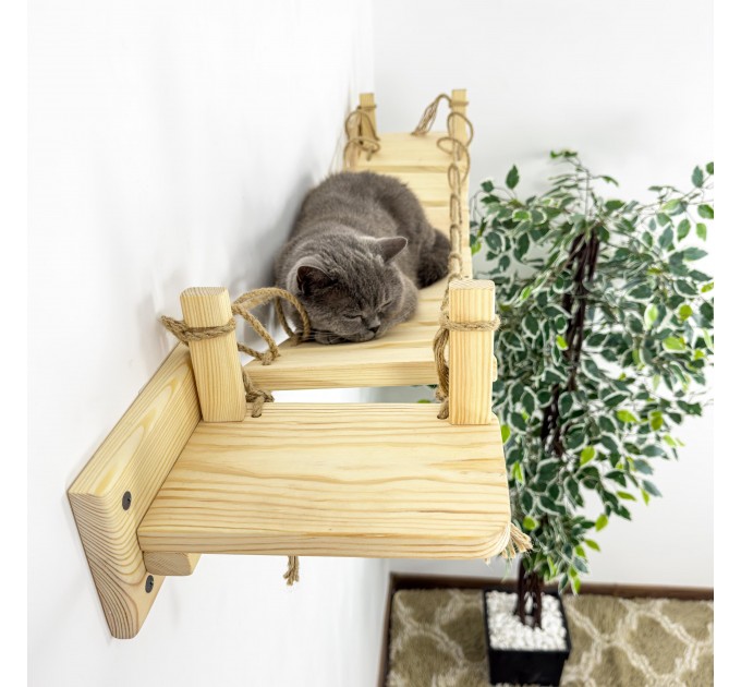 Comfortable cat bridge and wall shelves – custom climbing furniture
