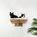Cat shelves kitten wall mounted bed with pillow