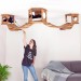 Wall-mounted bed and bridge with wooden kitten house