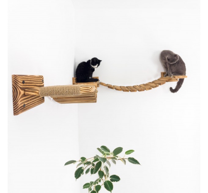 Floating cat bridge with shelves – perfect for big cats
