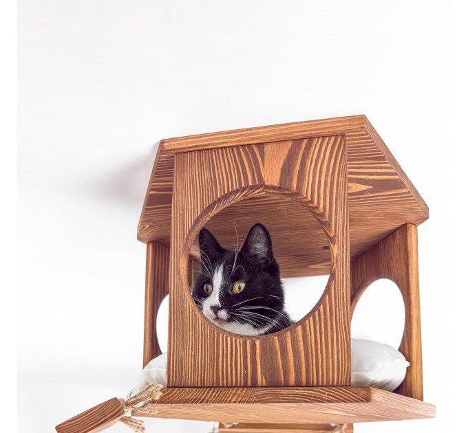 Wall-mounted bed and bridge with wooden kitten house