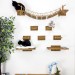 Cat gifts wall furniture set